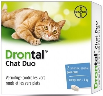 Drontal Chat Duo
